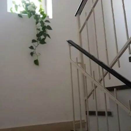 Apartment Rosi