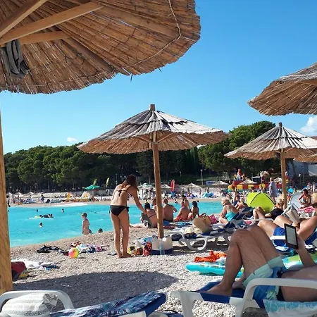Rosi Primosten