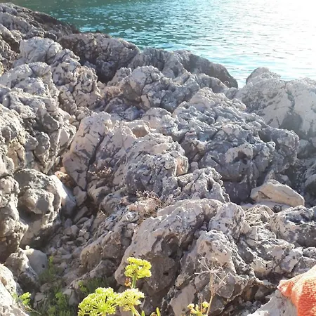 Διαμέρισμα Rosi
